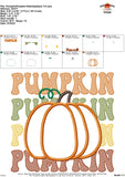 Pumpkin Pumpkin Satin Applique Design